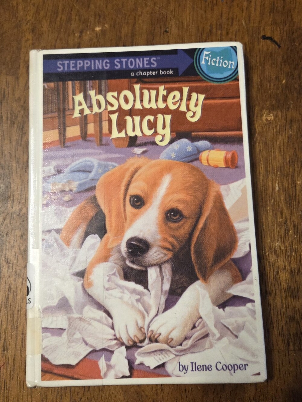 Absolutely Lucy Chapter Book by Ilene Cooper Stepping Stones Series